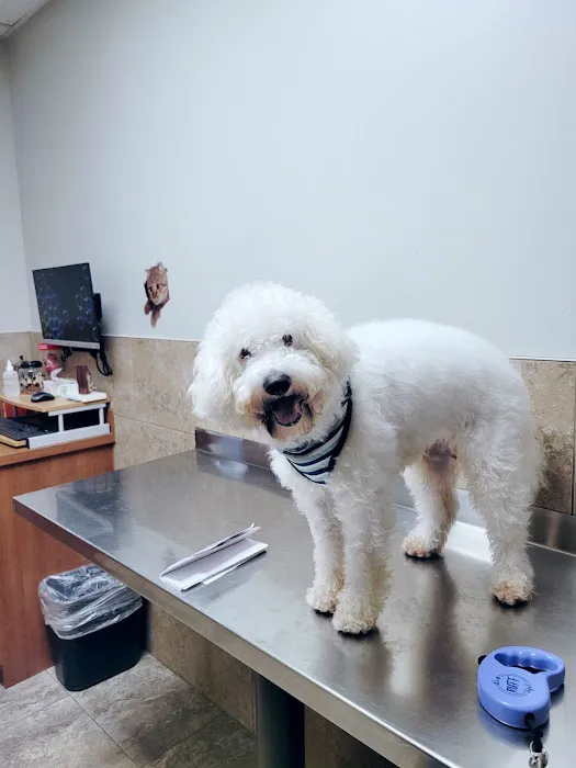 Garza Veterinary Clinic Picture 8