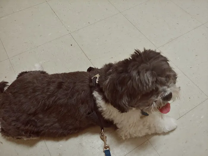 Affordable Pet Clinic Picture 7