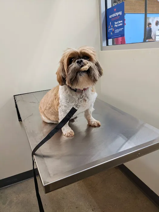 Vetco Total Care Animal Hospital Picture 4