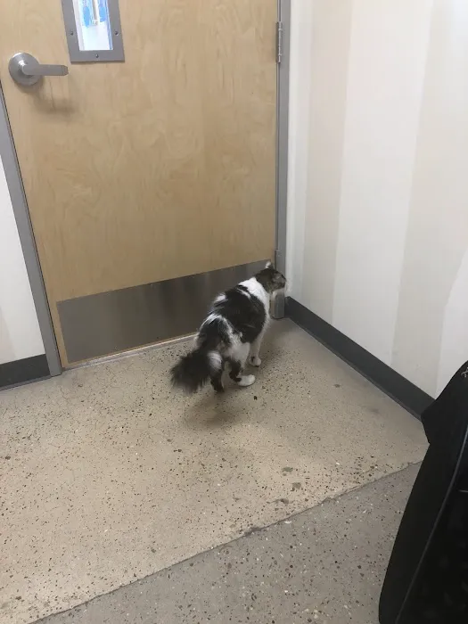 Vetco Total Care Animal Hospital Picture 8