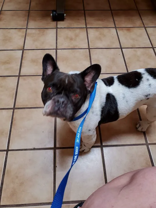Aldine Mail Route Animal Hospital Picture 1