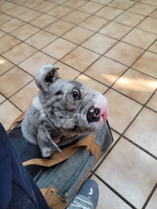 Aldine Mail Route Animal Hospital Picture 5