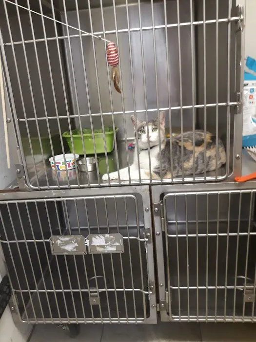 Fairmont Pet Hospital Picture 1