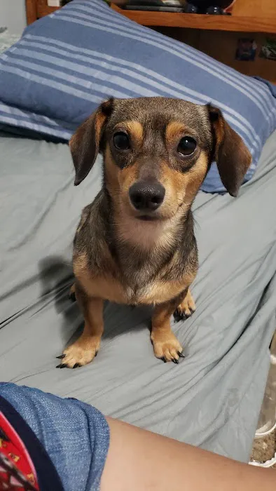 Fairmont Pet Hospital Picture 5