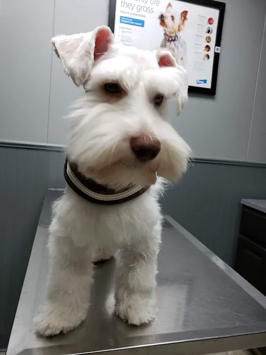 Fairmont Pet Hospital Picture 10