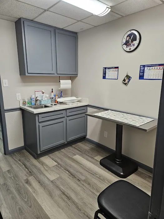 Kirkwood Veterinary Hospital Picture 10