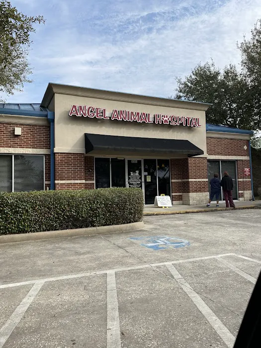 Angel Animal Hospital Picture 1