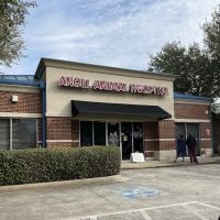 Angel Animal Hospital ico