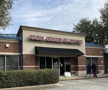 Angel Animal Hospital
