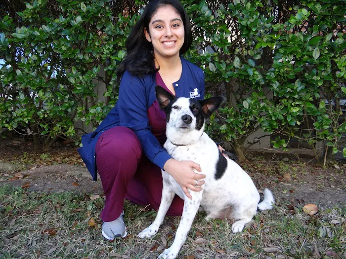 Angel Animal Hospital Picture 2