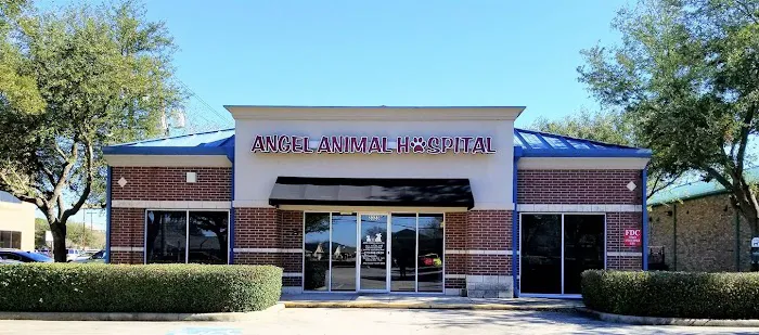 Angel Animal Hospital Picture 3