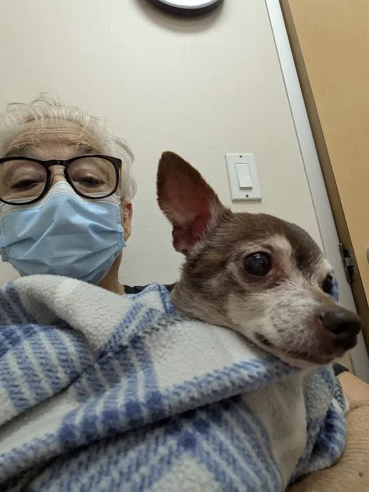 Angel Animal Hospital Picture 6