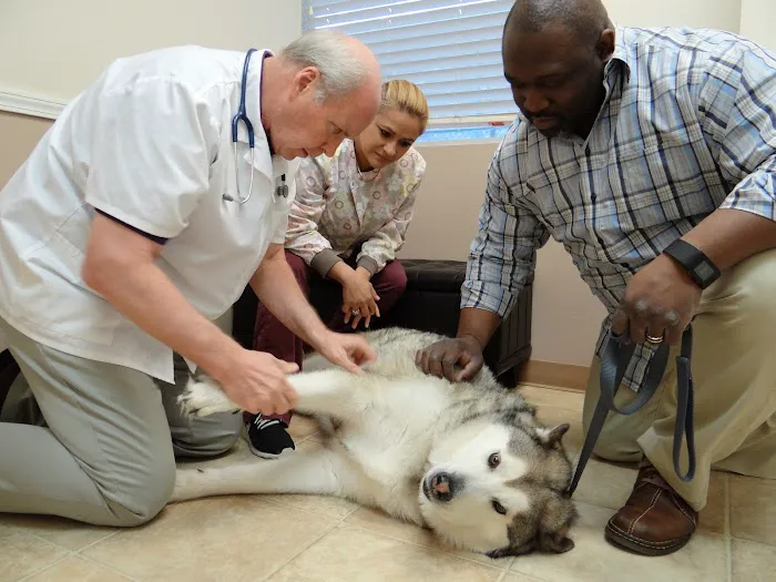 Angel Animal Hospital Picture 5