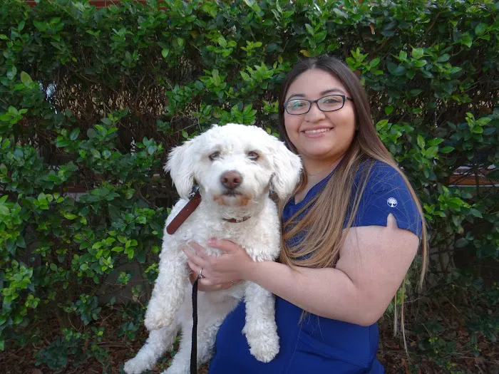 Angel Animal Hospital Picture 4