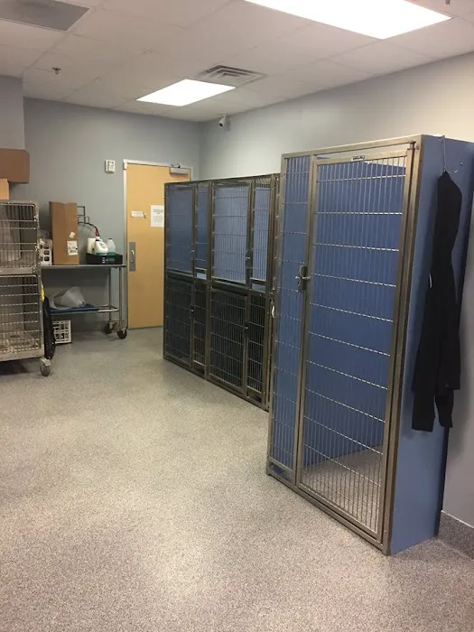 Angel Animal Hospital Picture 8
