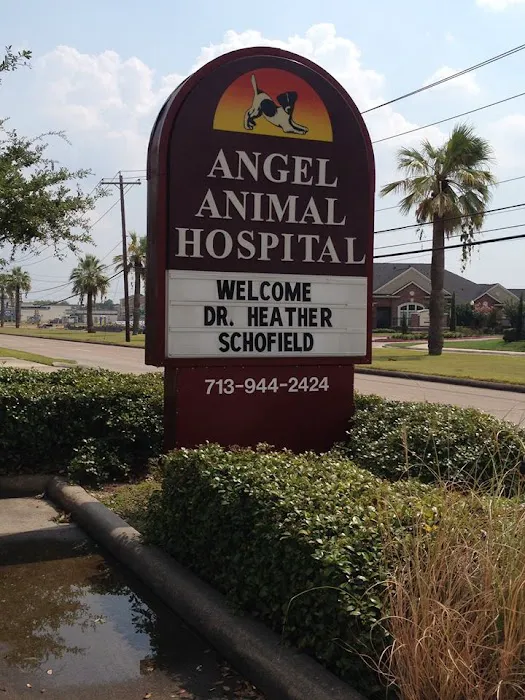 Angel Animal Hospital Picture 7
