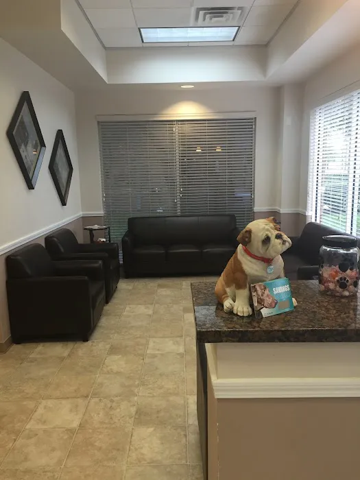Angel Animal Hospital Picture 10