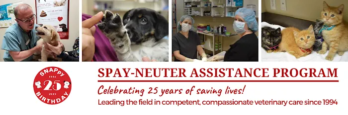 SNAP Spay-Neuter & Animal Wellness Clinic - Pasadena Picture 3