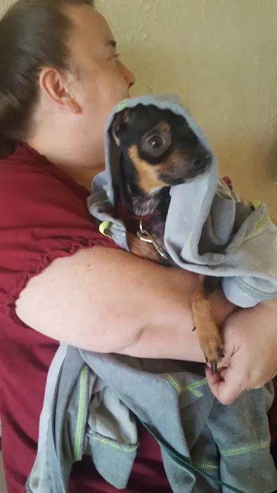 Preston Road Pet Hospital Picture 5