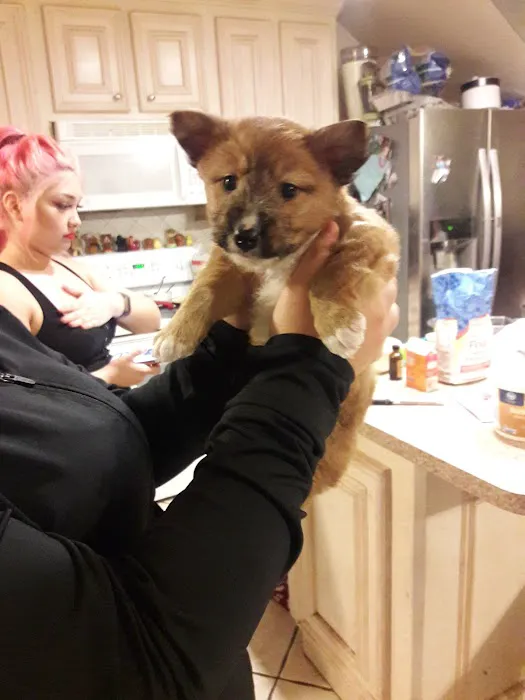 Preston Road Pet Hospital Picture 6