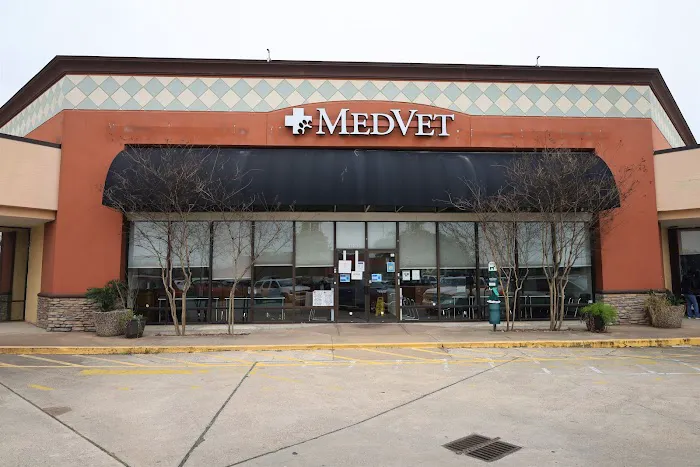 MedVet Houston Bay Area Picture 2