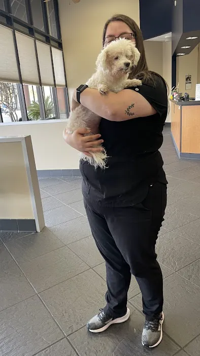 Gulf Coast Animal Eye Clinic Picture 6