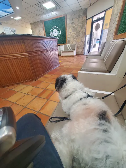 Gulf Coast Animal Eye Clinic Picture 10