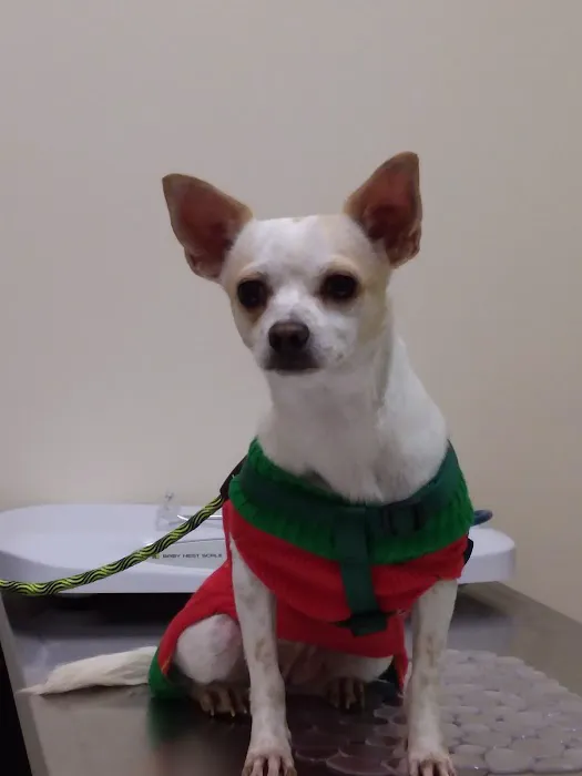 Haven Veterinary Clinic Picture 6