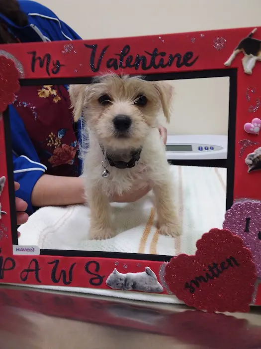 Haven Veterinary Clinic Picture 7