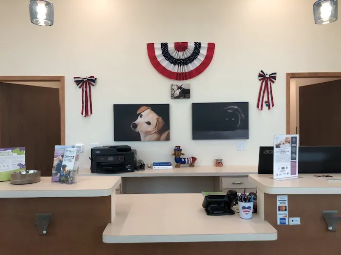 Haven Veterinary Clinic Picture 8