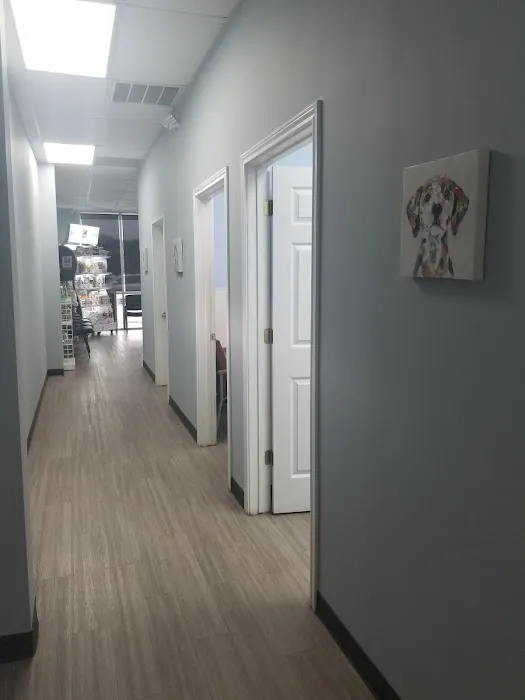 South Belt Animal Hospital Picture 7