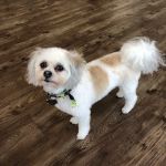Shadow Creek Veterinary Clinic