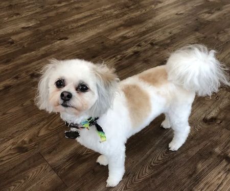Shadow Creek Veterinary Clinic