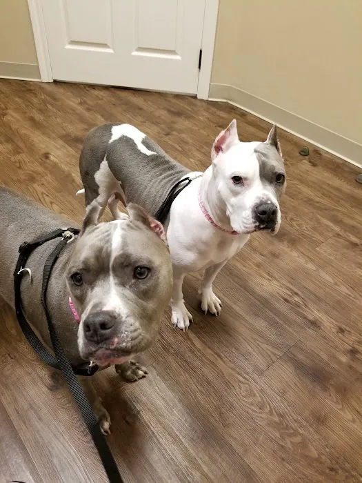 Shadow Creek Veterinary Clinic Picture 4