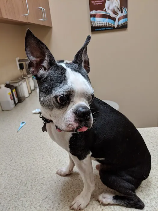 Shadow Creek Veterinary Clinic Picture 9