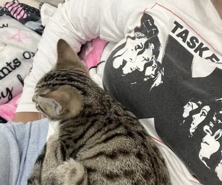 Lone Star Pawz CATfé