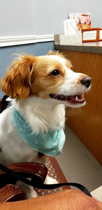 Pearland Pet Health Center Picture 1