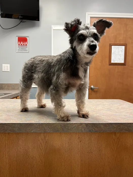 Pearland Pet Health Center Picture 8