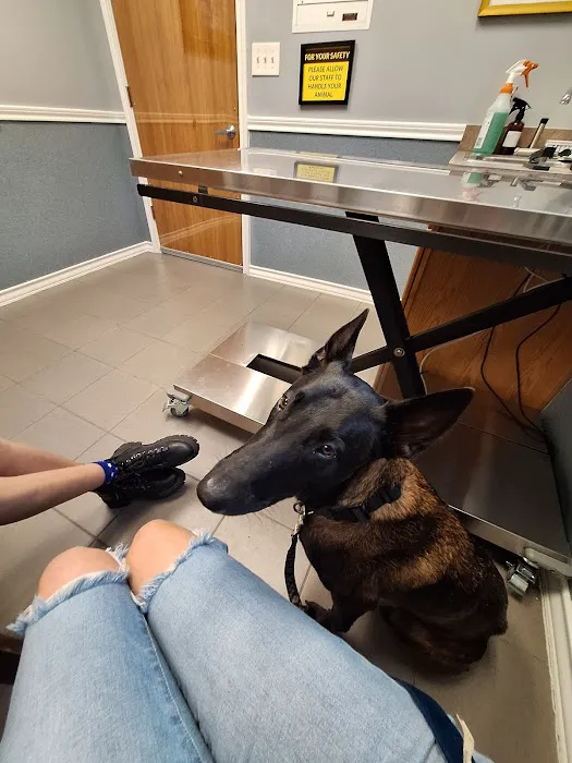 Pearland Pet Health Center Picture 7