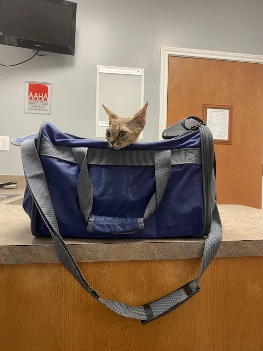 Pearland Pet Health Center Picture 10