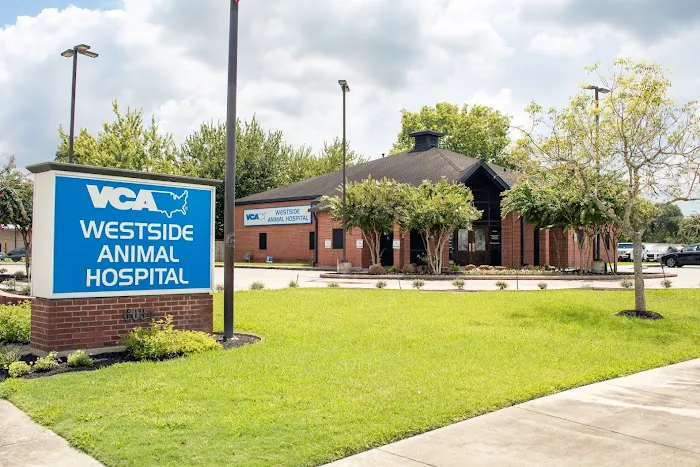 VCA Westside Animal Hospital Picture 2