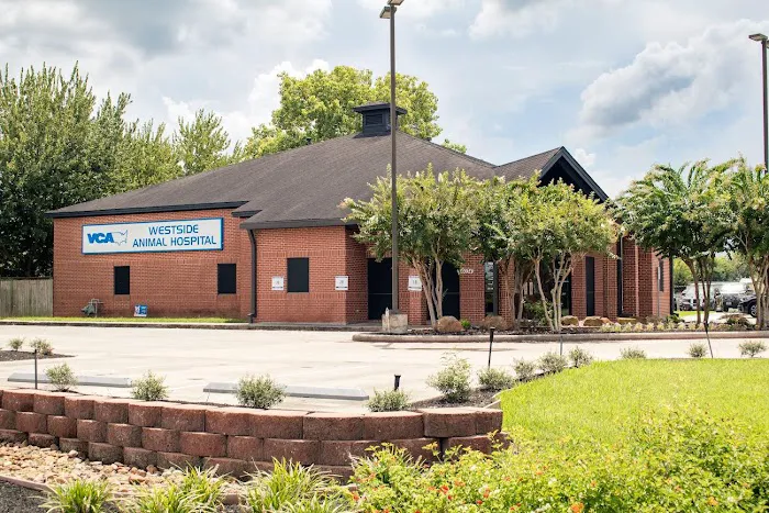 VCA Westside Animal Hospital Picture 3