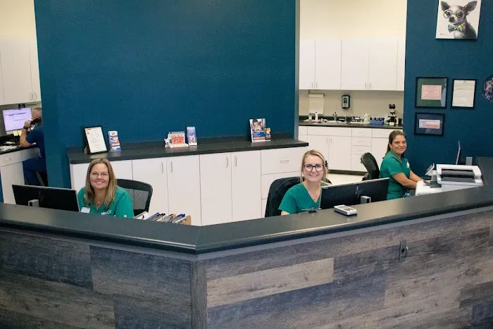 VCA Westside Animal Hospital Picture 8