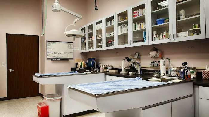 VCA Westside Animal Hospital Picture 6