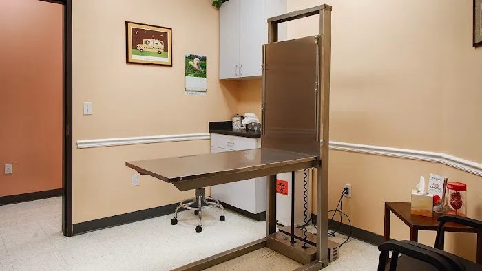 VCA Westside Animal Hospital Picture 10