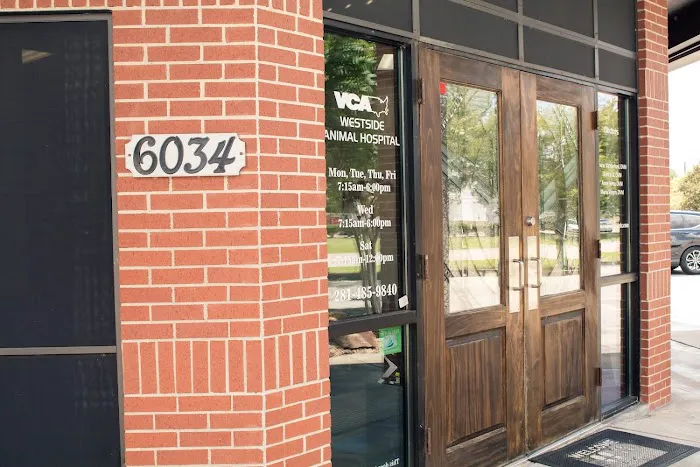 VCA Westside Animal Hospital Picture 9