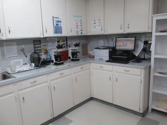 Pearland Animal Hospital Picture 2