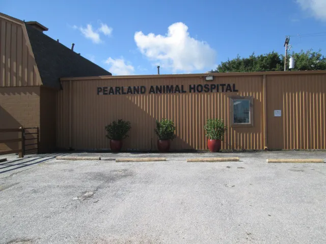 Pearland Animal Hospital Picture 5