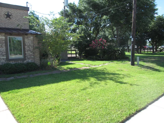 Pearland Animal Hospital Picture 8