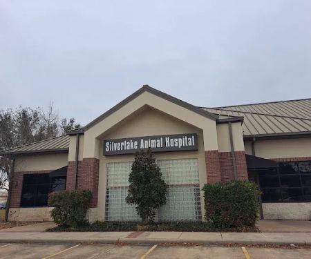Silverlake Animal Hospital